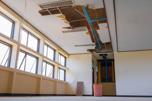 Best Water damage restoration experts  in Obetz, OH