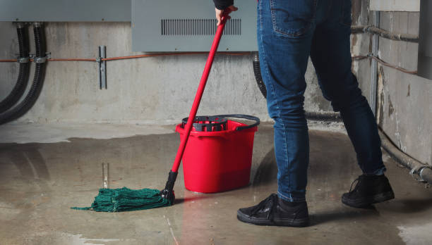 Best Water damage restoration mold remediation  in Obetz, OH