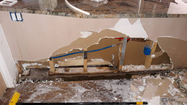 Best Mold removal after water damage  in Obetz, OH