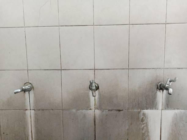 Best Sewage cleanup and water damage restoration  in Obetz, OH