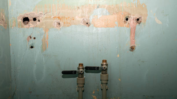 Best 24-hour water damage restoration  in Obetz, OH