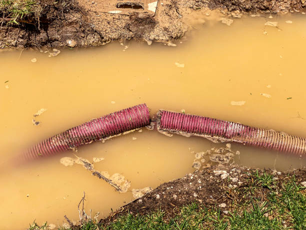 Best Sewage cleanup and water damage restoration  in Obetz, OH