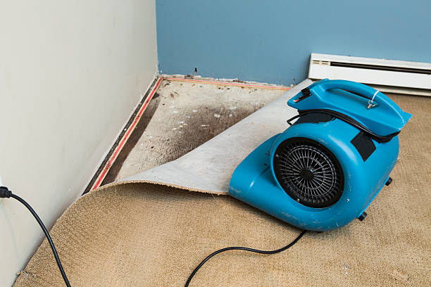 Best Water damage restoration near me  in Obetz, OH